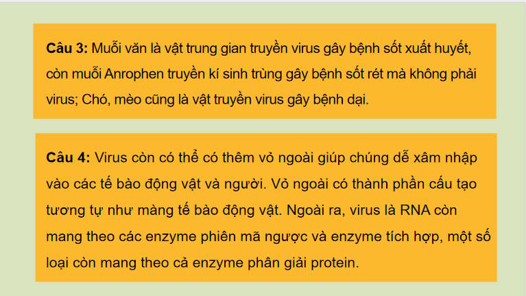 Giáo án PowerPoint Sinh học 10 Kết nối Bài 24
