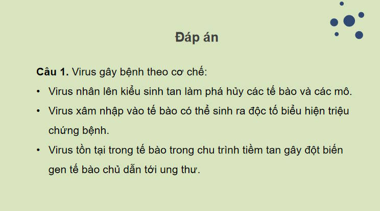 Giáo án PowerPoint Sinh học 10 Kết nối Bài 25