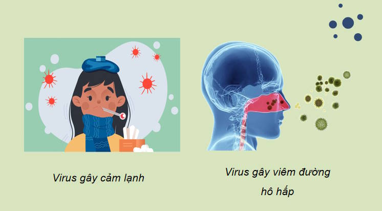 Giáo án PowerPoint Sinh học 10 Kết nối Bài 25