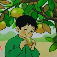 PowerPoint Tiếng Việt 2 Bài 27: Kể chuyện Sự tích cây vú sữa