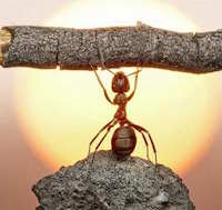 Giáo án Sinh hoạt lớp 8 Xây dựng kế hoạch học tập theo hứng thú tuần 32