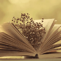 Phiếu bài tập cuối tuần lớp 2 môn Tiếng Việt Cánh diều - Tuần 9 (Cơ bản + Nâng cao)