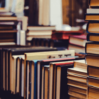 Phiếu bài tập cuối tuần lớp 2 môn Tiếng Việt Kết nối tri thức - Tuần 9 (Cơ bản + Nâng cao)