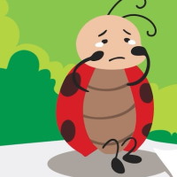 PowerPoint Tiếng Việt 2 Bài 1: Đọc Bọ rùa tìm mẹ