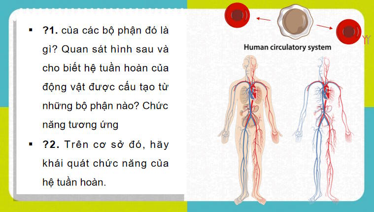 Giáo án PowerPoint Sinh học 11 Bài 10