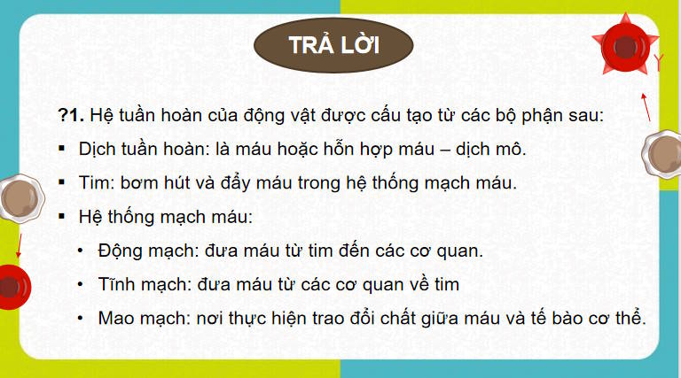 Giáo án PowerPoint Sinh học 11 Bài 10