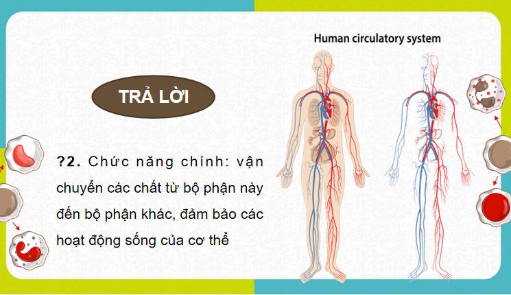 Giáo án PowerPoint Sinh học 11 Bài 10