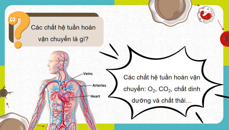 Giáo án PowerPoint Sinh học 11 Bài 10