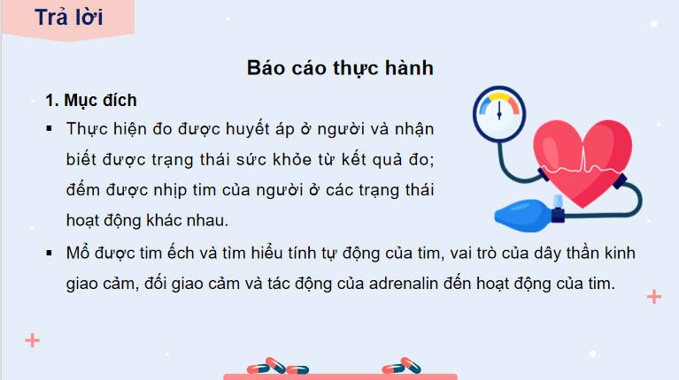 Giáo án PowerPoint Sinh học 11 Bài 11