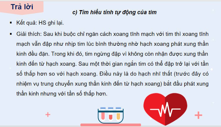 Giáo án PowerPoint Sinh học 11 Bài 11