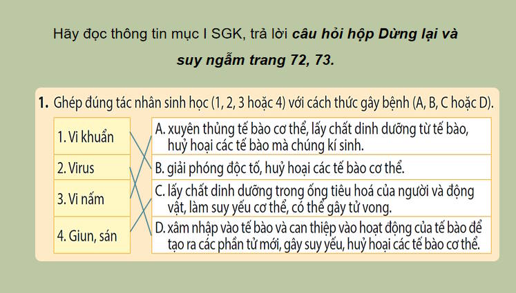 Giáo án PowerPoint Sinh học 11 Bài 12
