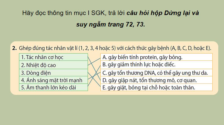 Giáo án PowerPoint Sinh học 11 Bài 12