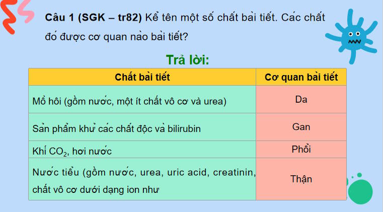 Giáo án PowerPoint Sinh học 11 Bài 13