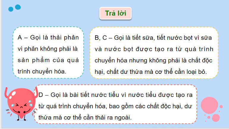Giáo án PowerPoint Sinh học 11 Bài 13