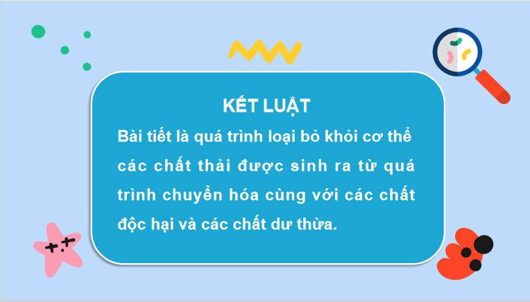 Giáo án PowerPoint Sinh học 11 Bài 13