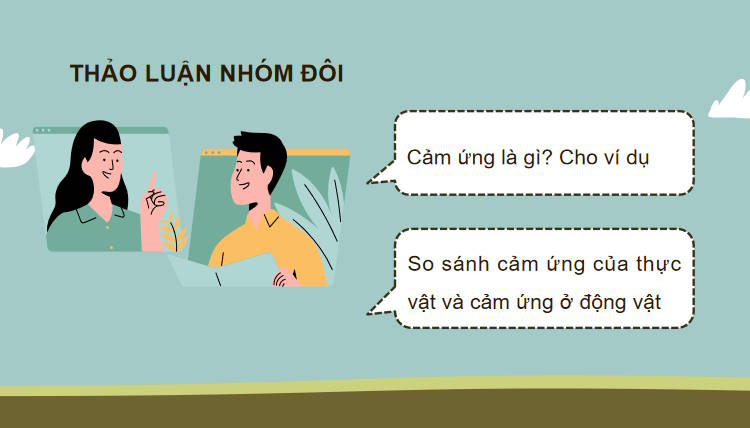 Giáo án PowerPoint Sinh học 11 Bài 14