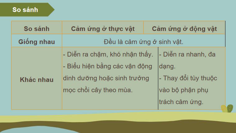 Giáo án PowerPoint Sinh học 11 Bài 14