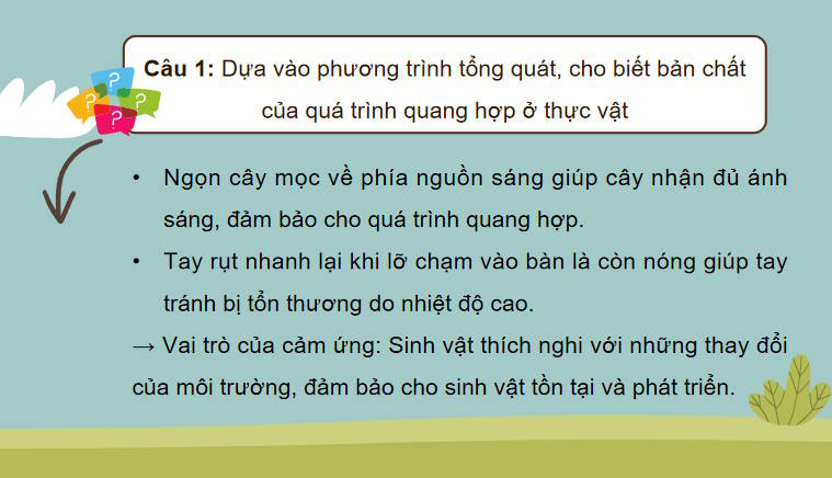 Giáo án PowerPoint Sinh học 11 Bài 14