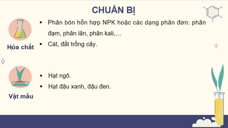 Giáo án PowerPoint Sinh học 11 Bài 16