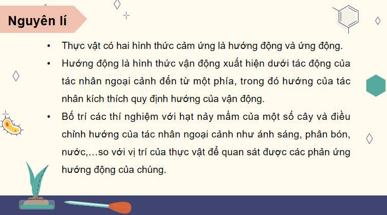 Giáo án PowerPoint Sinh học 11 Bài 16