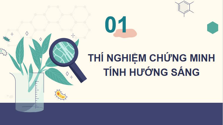 Giáo án PowerPoint Sinh học 11 Bài 16