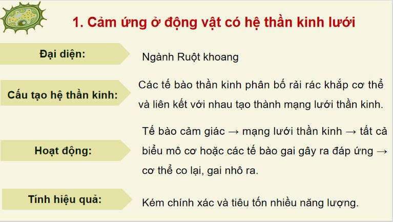 Giáo án PowerPoint Sinh học 11 Bài 17