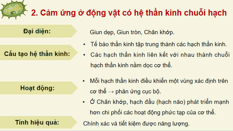 Giáo án PowerPoint Sinh học 11 Bài 17
