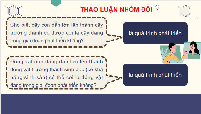 Giáo án PowerPoint Sinh học 11 Bài 19