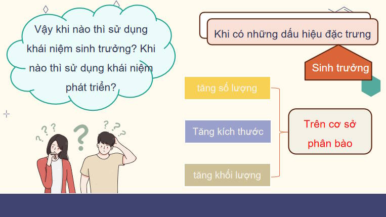 Giáo án PowerPoint Sinh học 11 Bài 19