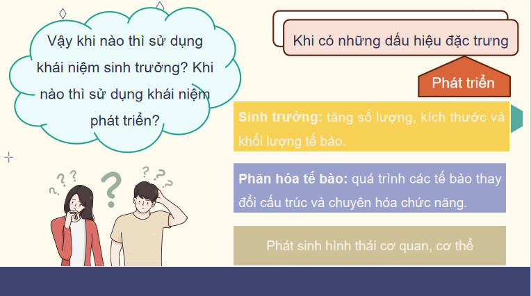 Giáo án PowerPoint Sinh học 11 Bài 19