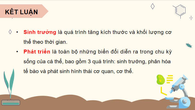 Giáo án PowerPoint Sinh học 11 Bài 19