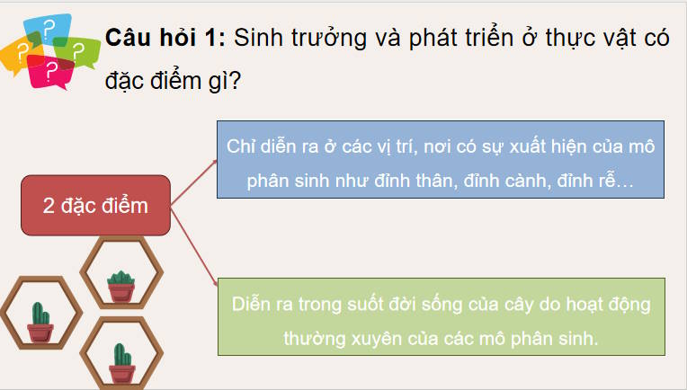 Giáo án PowerPoint Sinh học 11 Bài 20