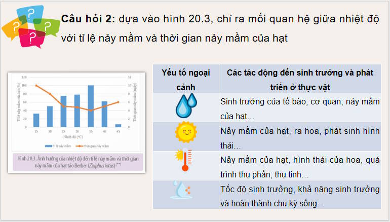 Giáo án PowerPoint Sinh học 11 Bài 20
