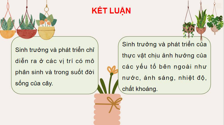 Giáo án PowerPoint Sinh học 11 Bài 20