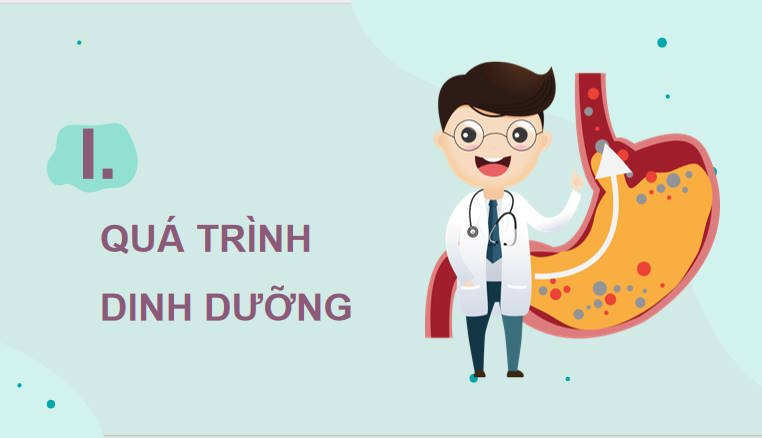 Giáo án PowerPoint Sinh học 11 Bài 8