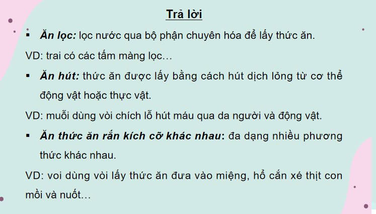 Giáo án PowerPoint Sinh học 11 Bài 8