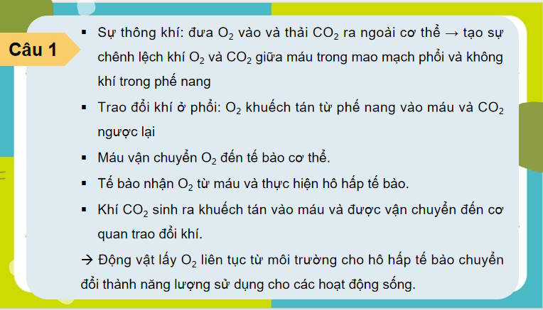 Giáo án PowerPoint Sinh học 11 Bài 9