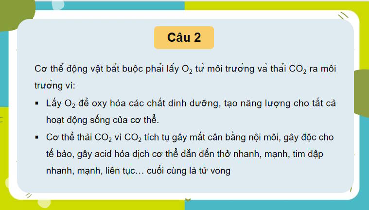 Giáo án PowerPoint Sinh học 11 Bài 9