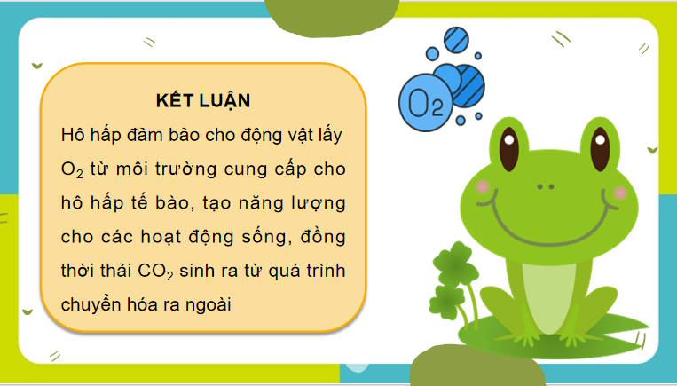 Giáo án PowerPoint Sinh học 11 Bài 9