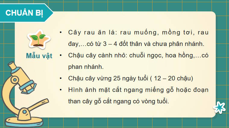 Giáo án PowerPoint Sinh học 11 Bài 21