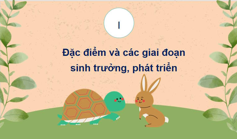 Giáo án PowerPoint Sinh học 11 Bài 22