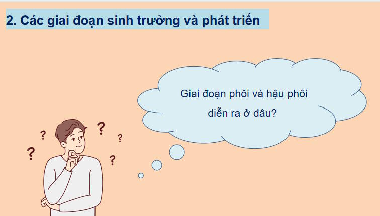 Giáo án PowerPoint Sinh học 11 Bài 22