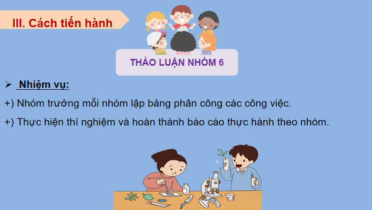 Giáo án PowerPoint Sinh học 11 Bài 23