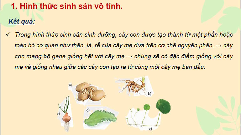 Giáo án PowerPoint Sinh học 11 Bài 25