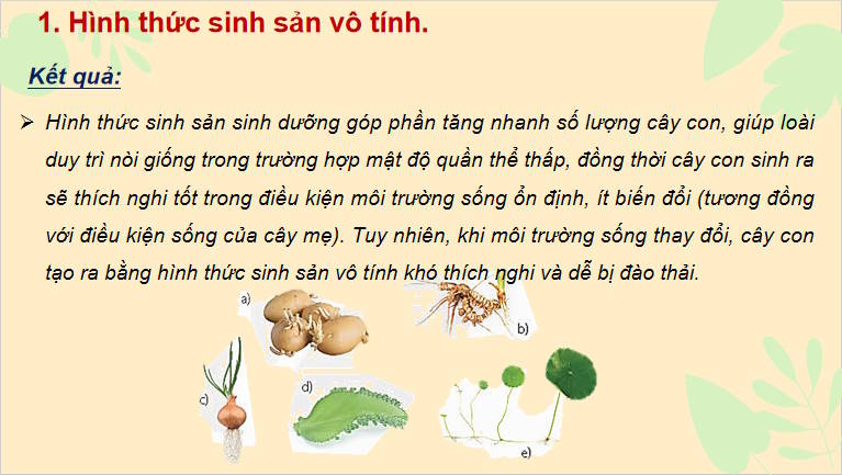 Giáo án PowerPoint Sinh học 11 Bài 25