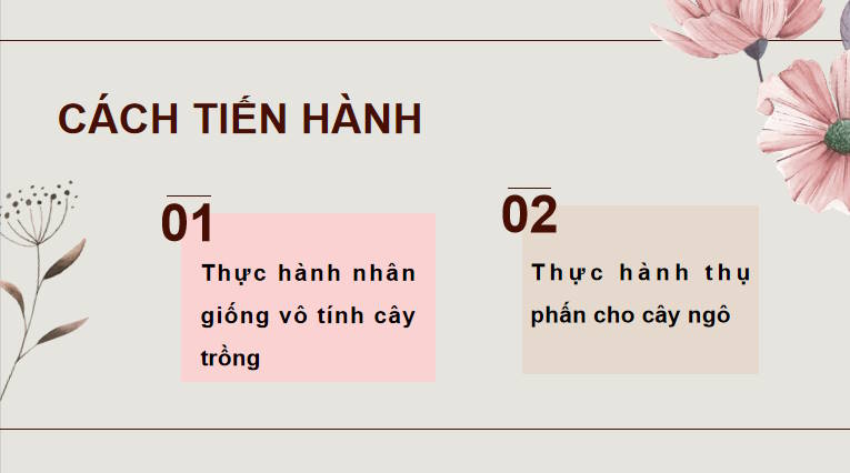 Giáo án PowerPoint Sinh học 11 Bài 26