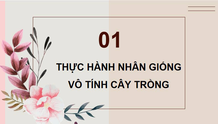 Giáo án PowerPoint Sinh học 11 Bài 26