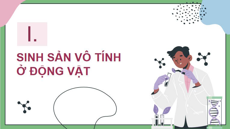 Giáo án PowerPoint Sinh học 11 Bài 27