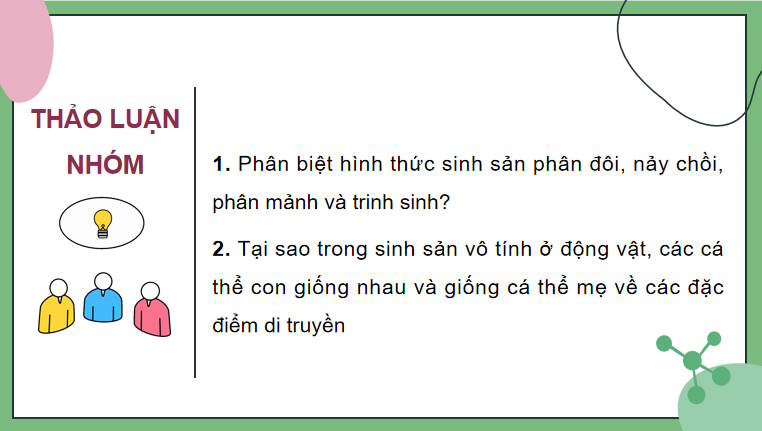 Giáo án PowerPoint Sinh học 11 Bài 27