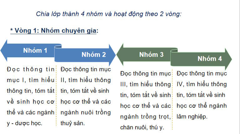 Giáo án PowerPoint Sinh học 11 Bài 29